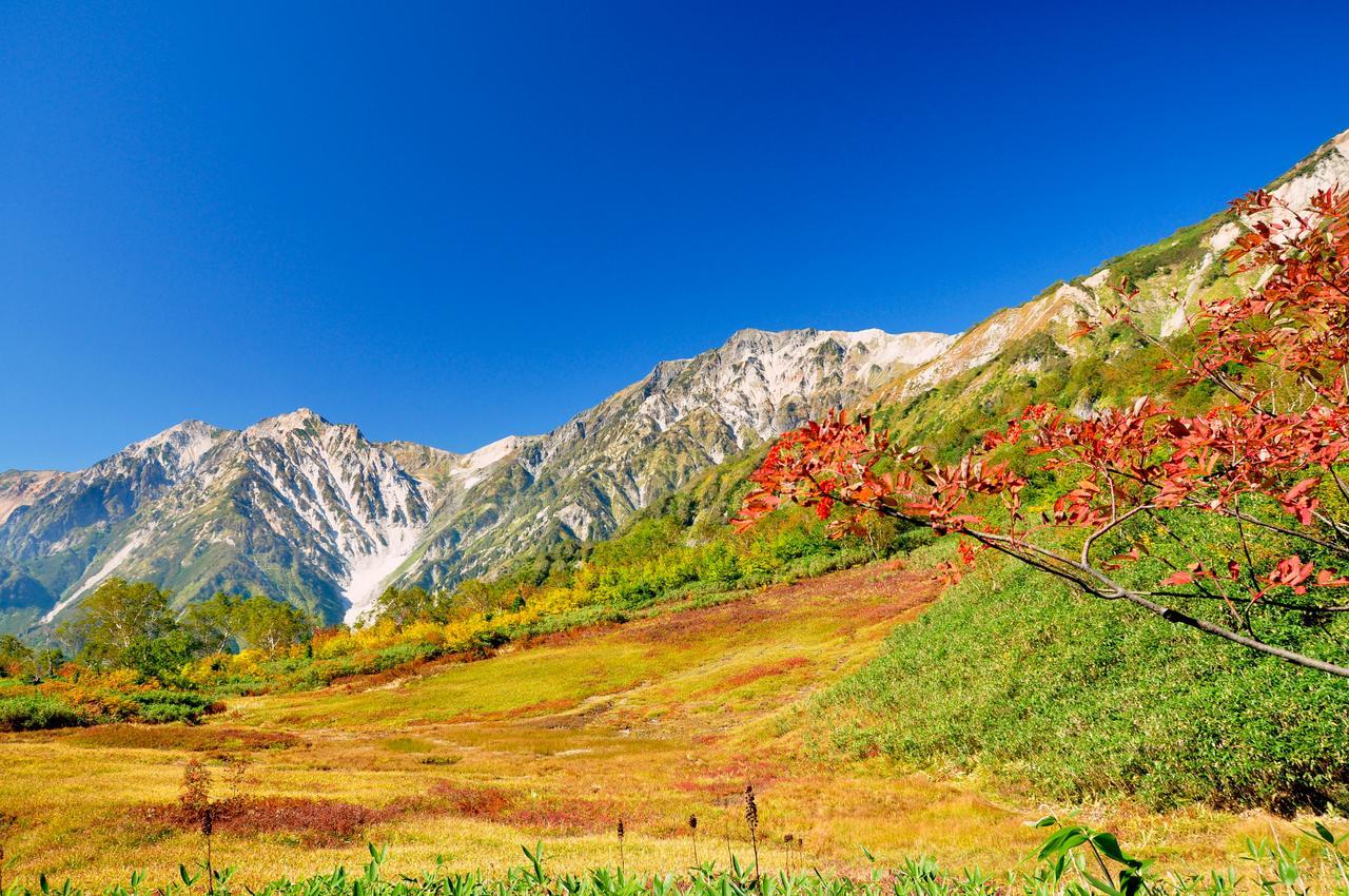 Hotel Hakuba Berghaus Otari Zewnętrze zdjęcie